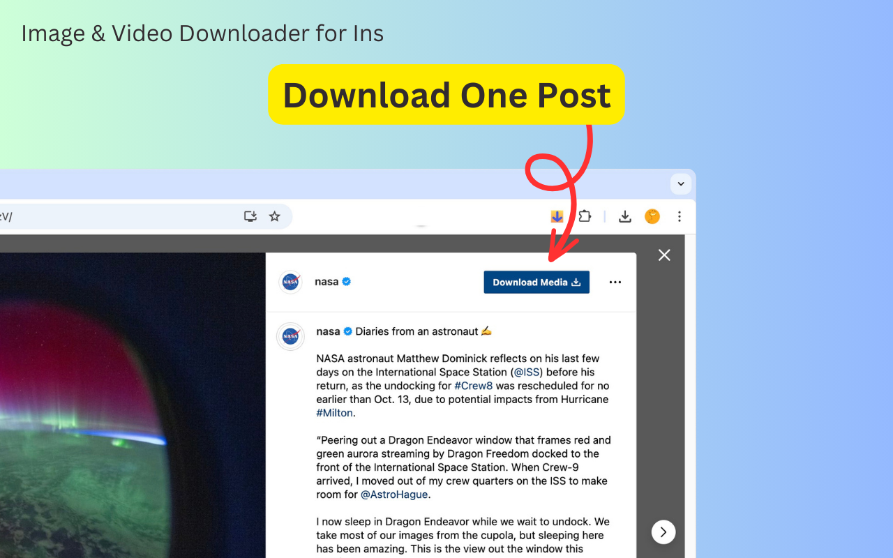 Ins图片和视频下载器 chrome谷歌浏览器插件_扩展第1张截图