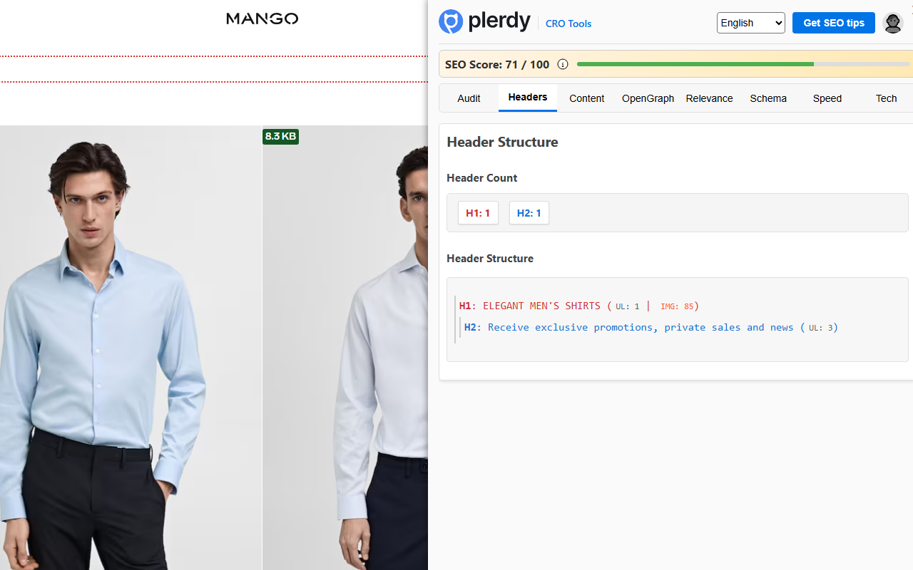Plerdy SEO Analyzer chrome谷歌浏览器插件_扩展第2张截图