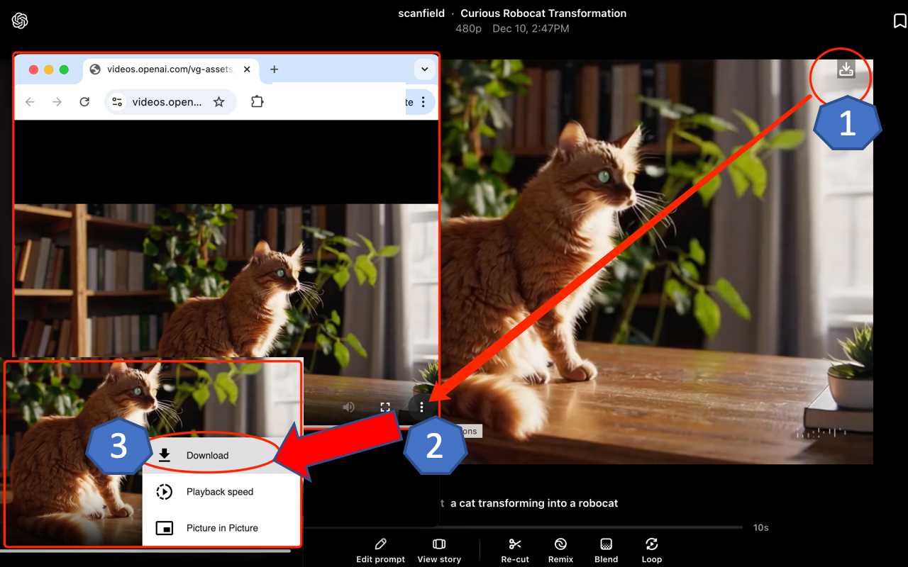 Sora Video Downloader chrome谷歌浏览器插件_扩展第1张截图