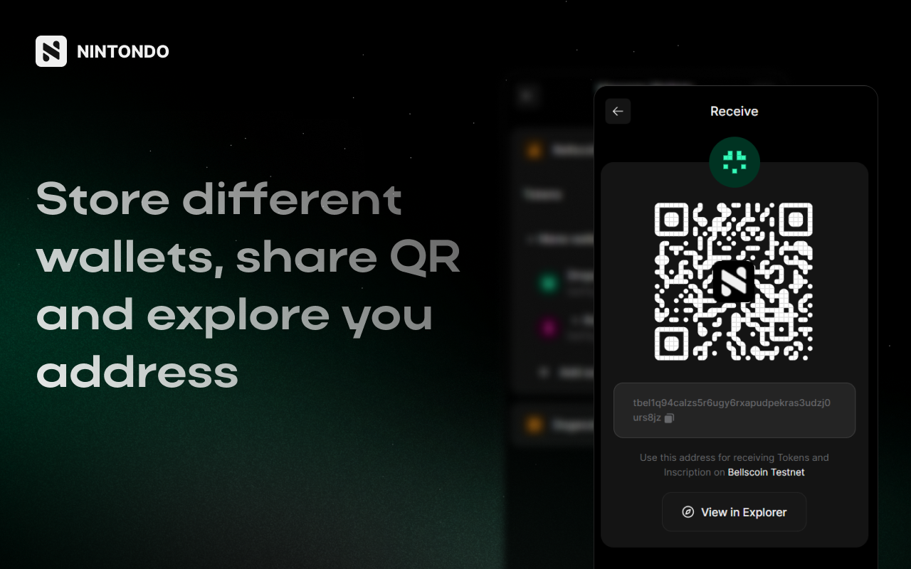 Nintondo Wallet chrome谷歌浏览器插件_扩展第2张截图
