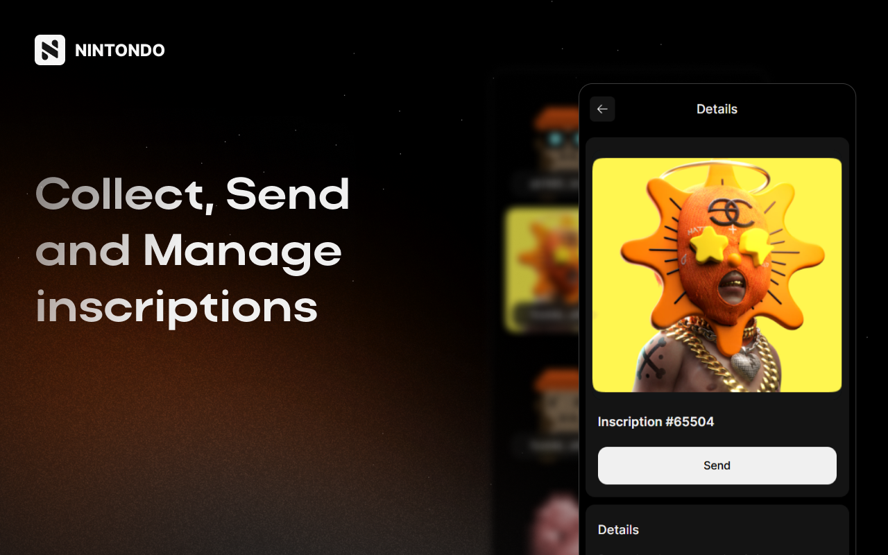 Nintondo Wallet chrome谷歌浏览器插件_扩展第3张截图