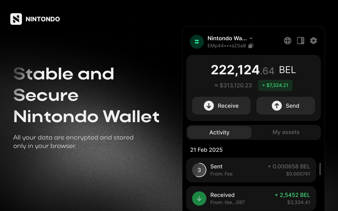 Nintondo Wallet chrome谷歌浏览器插件_扩展第5张截图