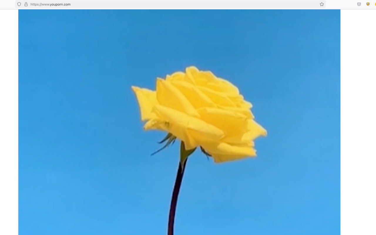 KunstSurfer! chrome谷歌浏览器插件_扩展第3张截图