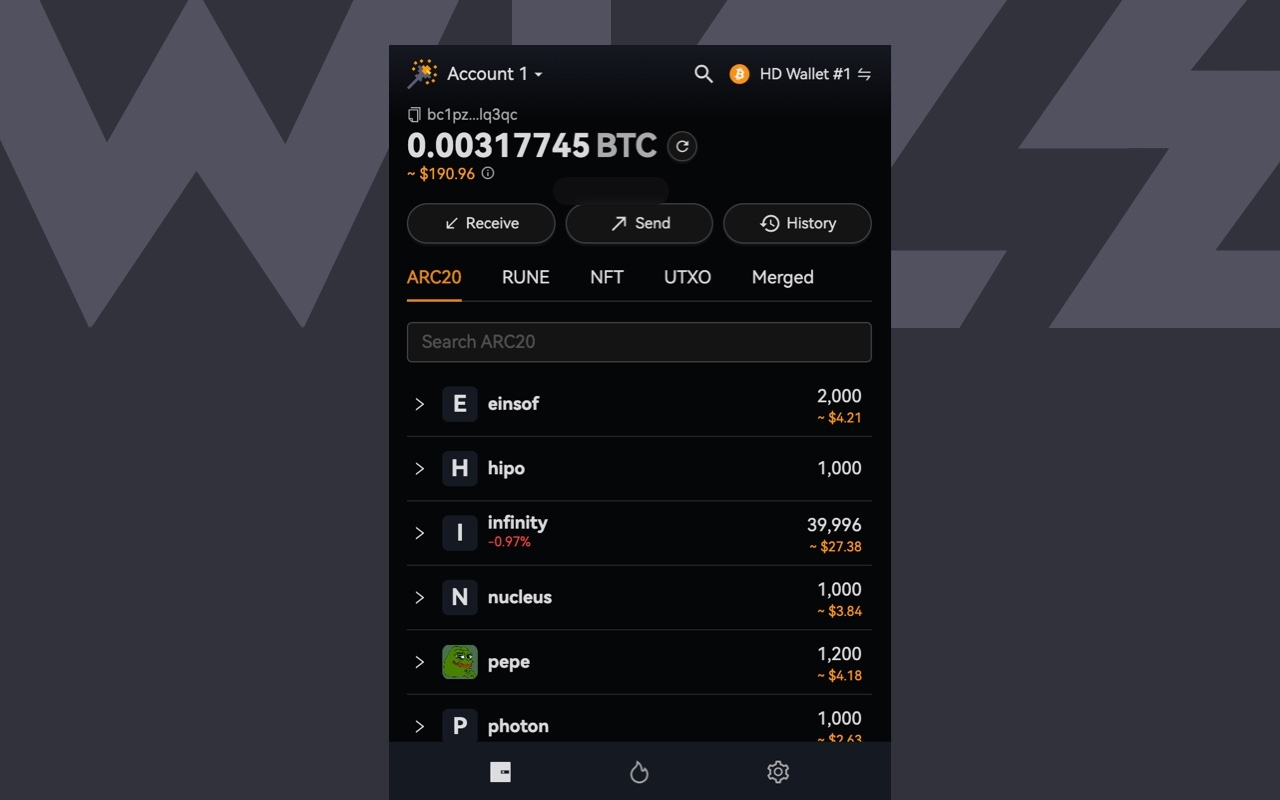 Wizz Wallet chrome谷歌浏览器插件_扩展第1张截图