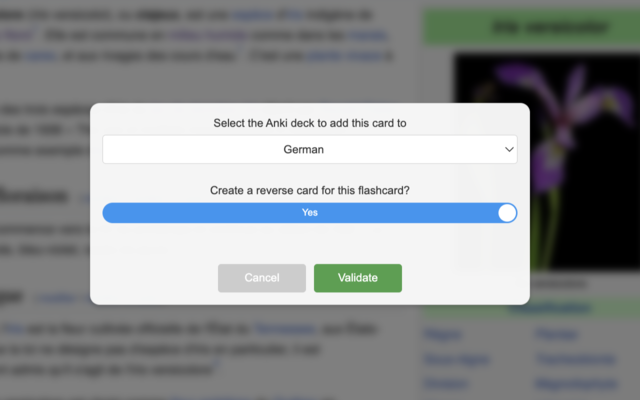 AnkiLingoFlash chrome谷歌浏览器插件_扩展第5张截图