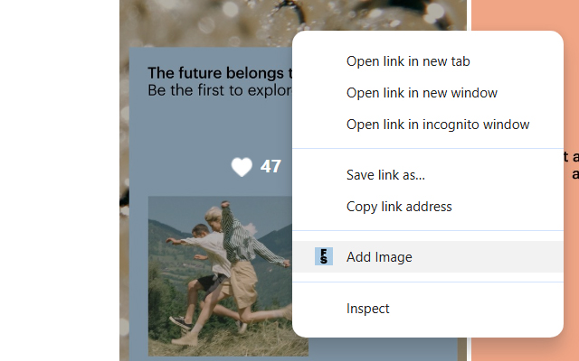 FS chrome谷歌浏览器插件_扩展第1张截图