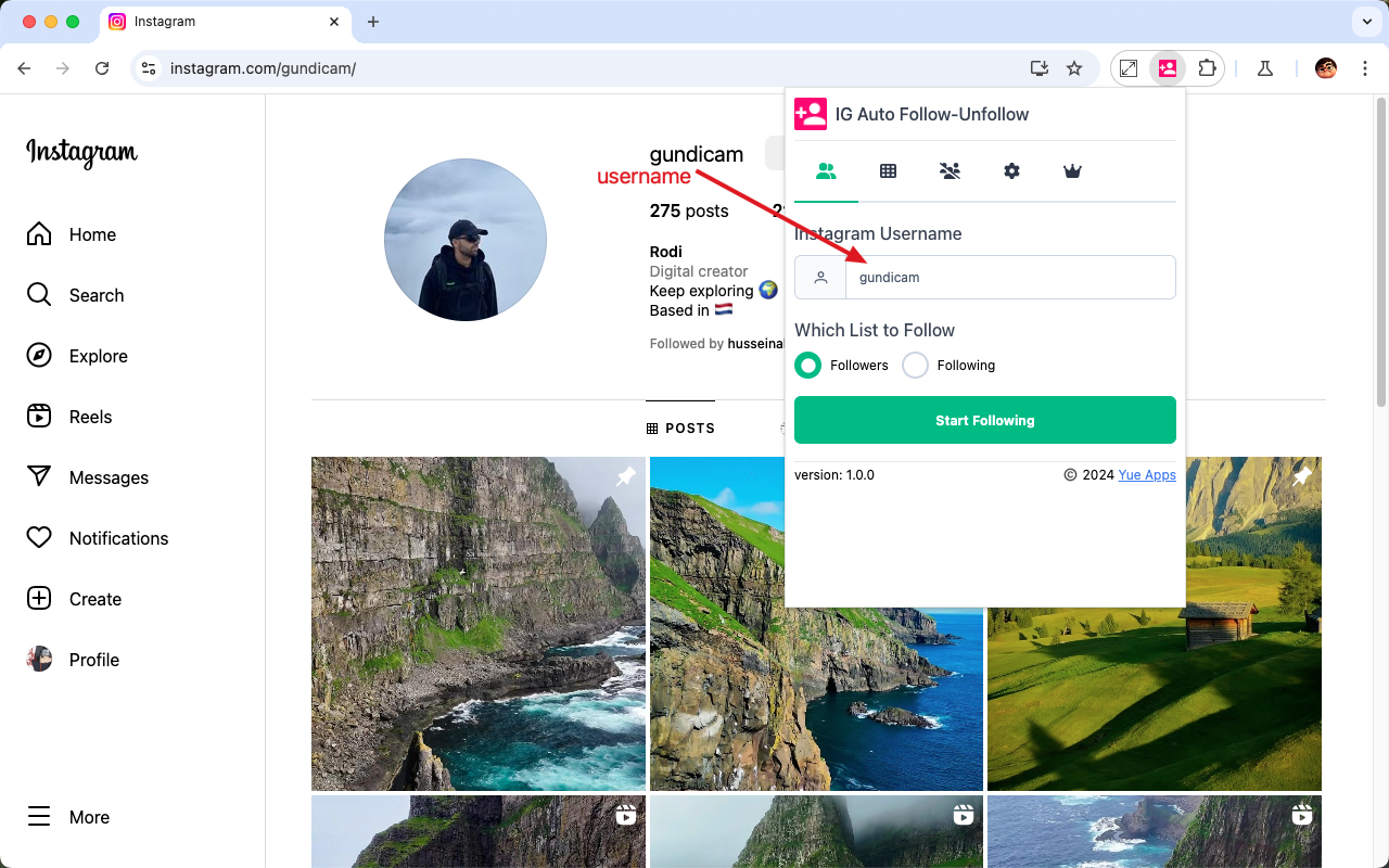 IG Auto Follow chrome谷歌浏览器插件_扩展第5张截图