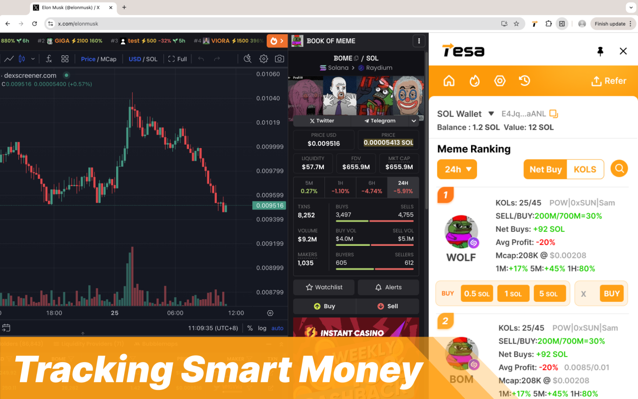 Tesa: Memecoin Smart Trading Agent chrome谷歌浏览器插件_扩展第3张截图