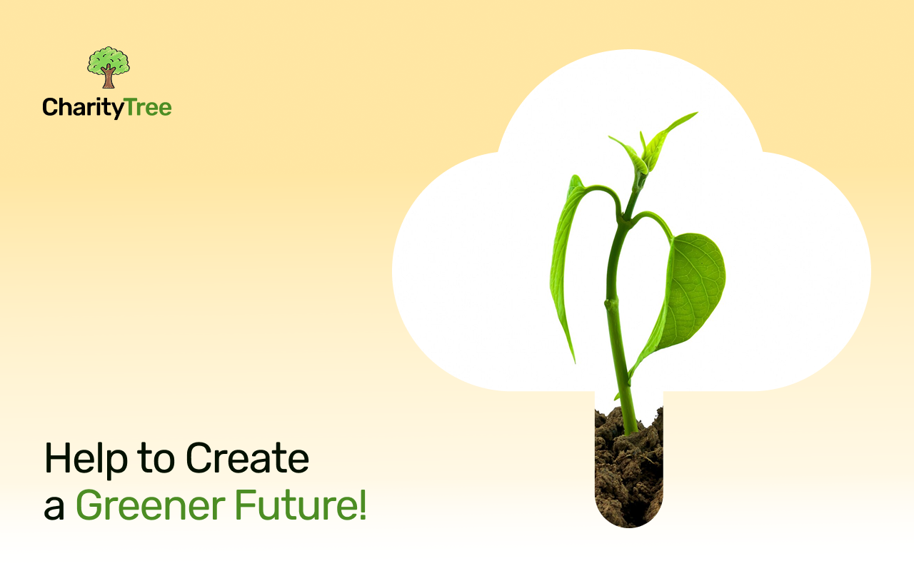 CharityTree chrome谷歌浏览器插件_扩展第2张截图