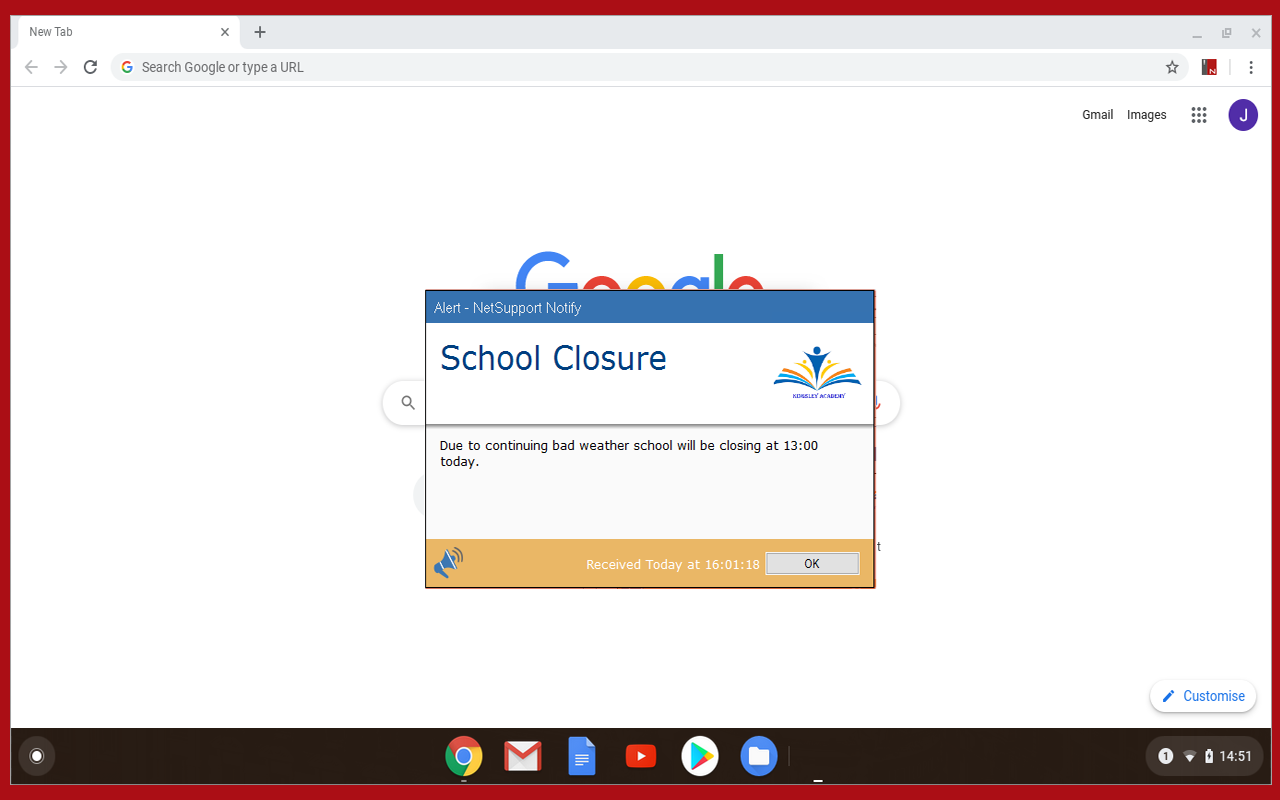 NetSupport Notify Agent chrome谷歌浏览器插件_扩展第3张截图
