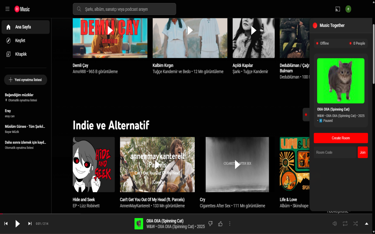 Youtube Music Together chrome谷歌浏览器插件_扩展第2张截图