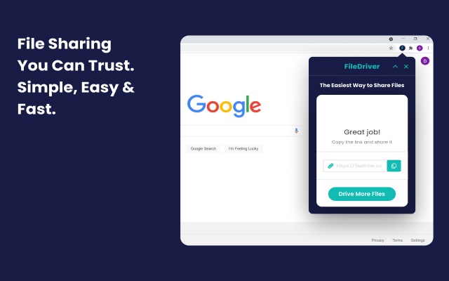FileDriver for Chrome chrome谷歌浏览器插件_扩展第1张截图