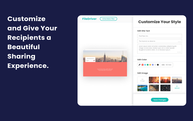 FileDriver for Chrome chrome谷歌浏览器插件_扩展第4张截图
