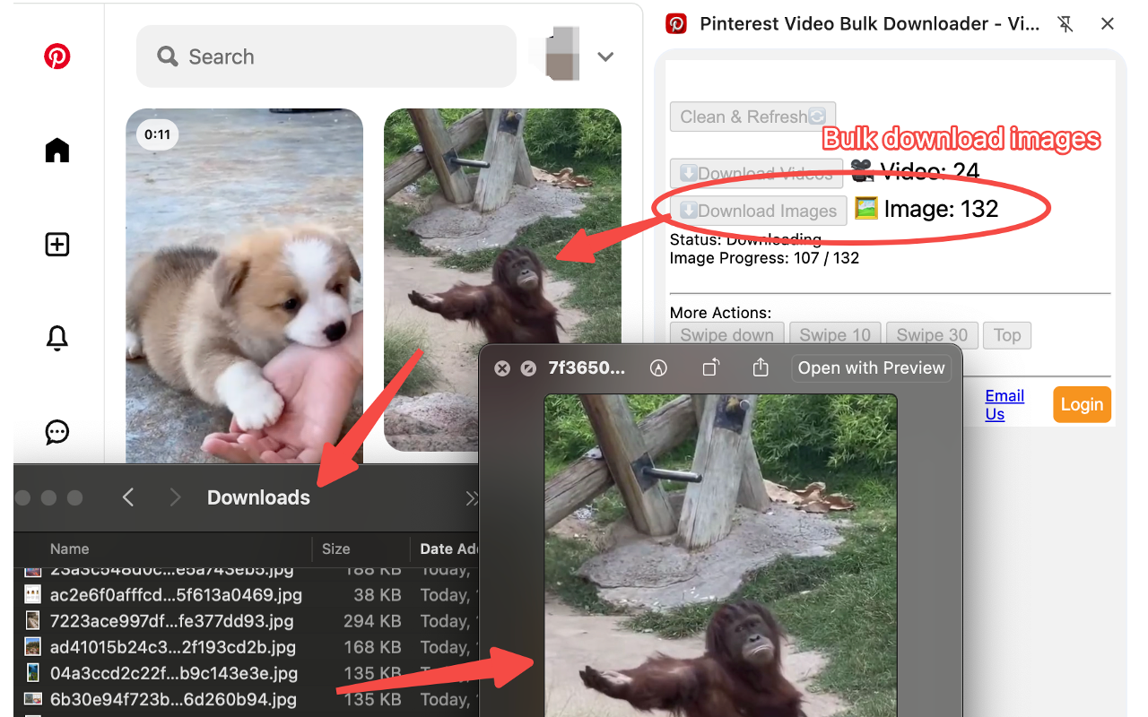 Pinterest Video Bulk Downloader - HD Video and Images chrome谷歌浏览器插件_扩展第1张截图