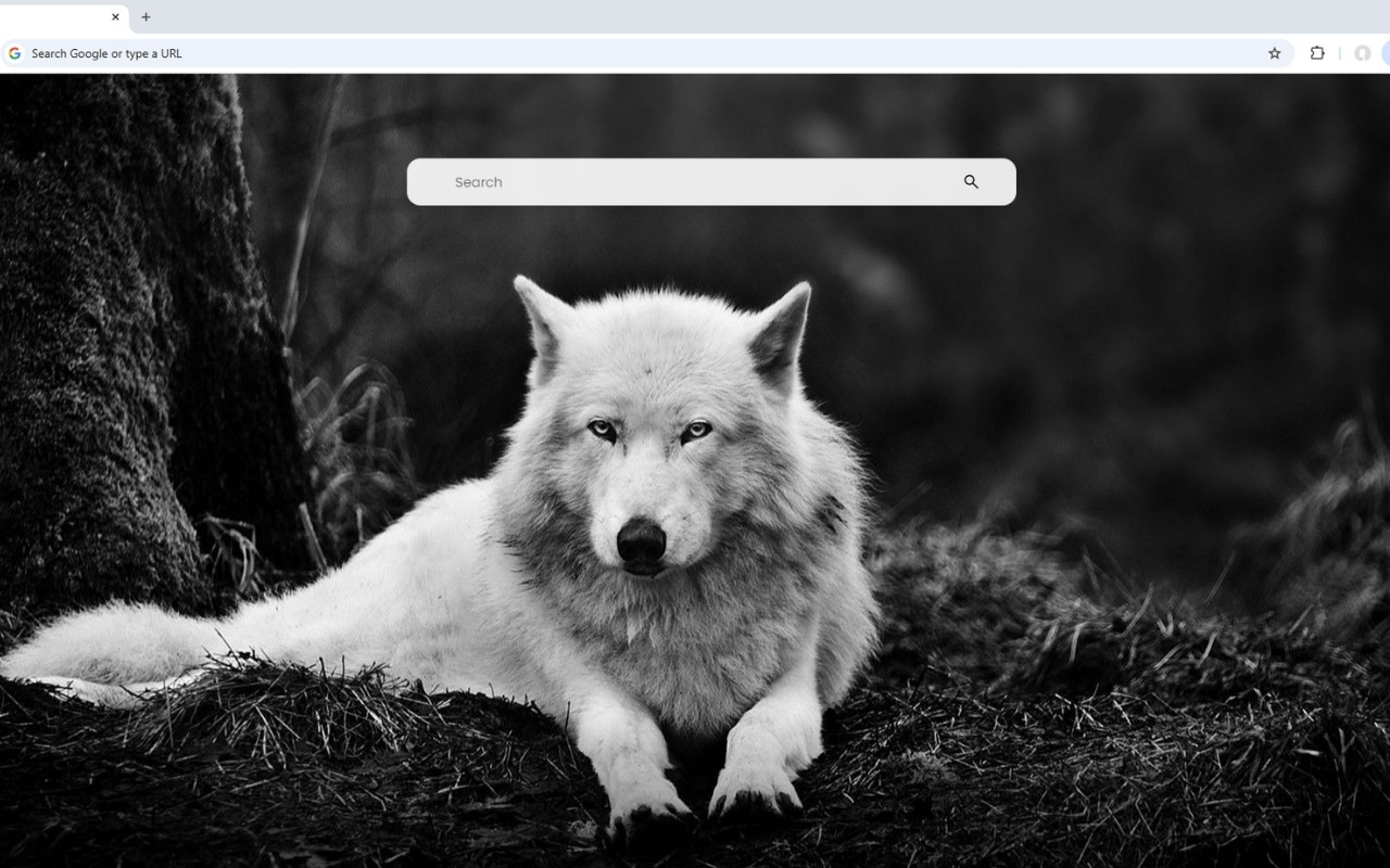 Wolf Wallpaper chrome谷歌浏览器插件_扩展第2张截图