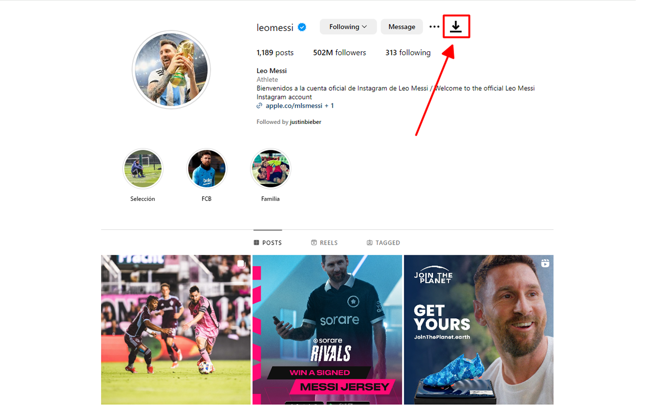 I.G Downloader chrome谷歌浏览器插件_扩展第1张截图