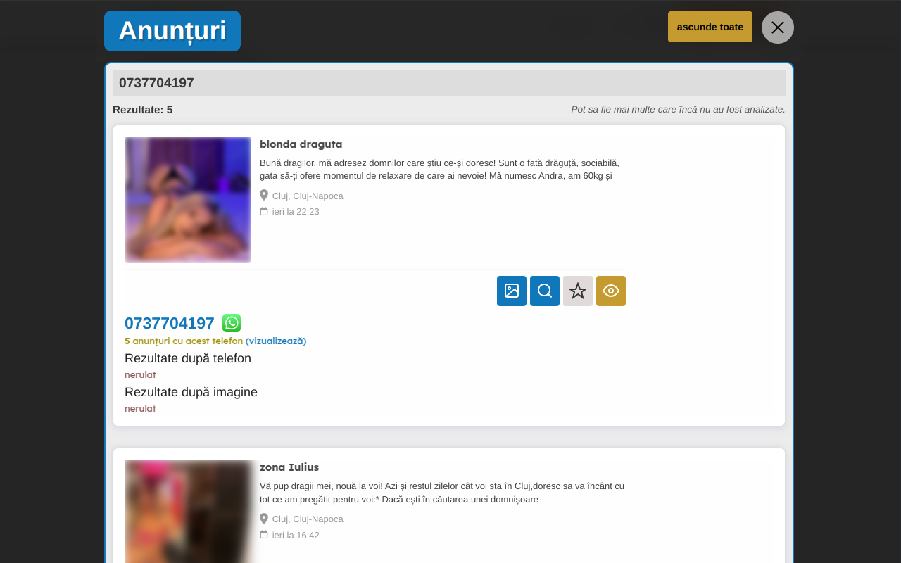 Publi24 filtru avansat chrome谷歌浏览器插件_扩展第5张截图