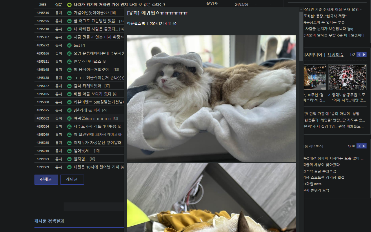 디시엿보기2 chrome谷歌浏览器插件_扩展第1张截图