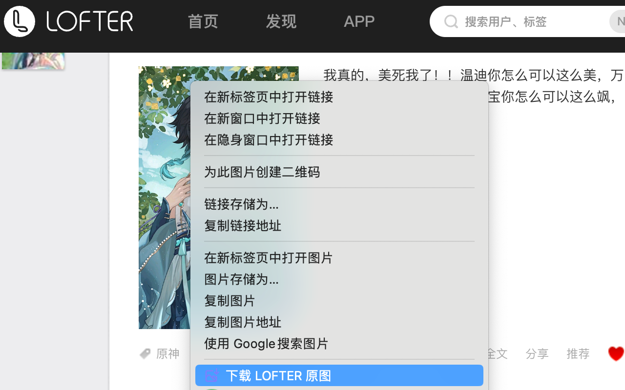 下载 LOFTER 原图 chrome谷歌浏览器插件_扩展第1张截图