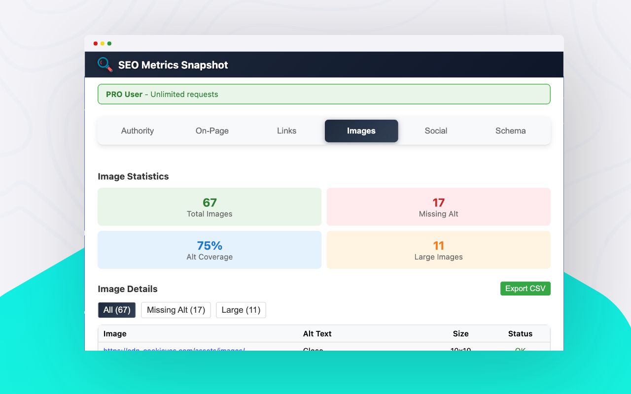 SEO Metrics Snapshot chrome谷歌浏览器插件_扩展第5张截图
