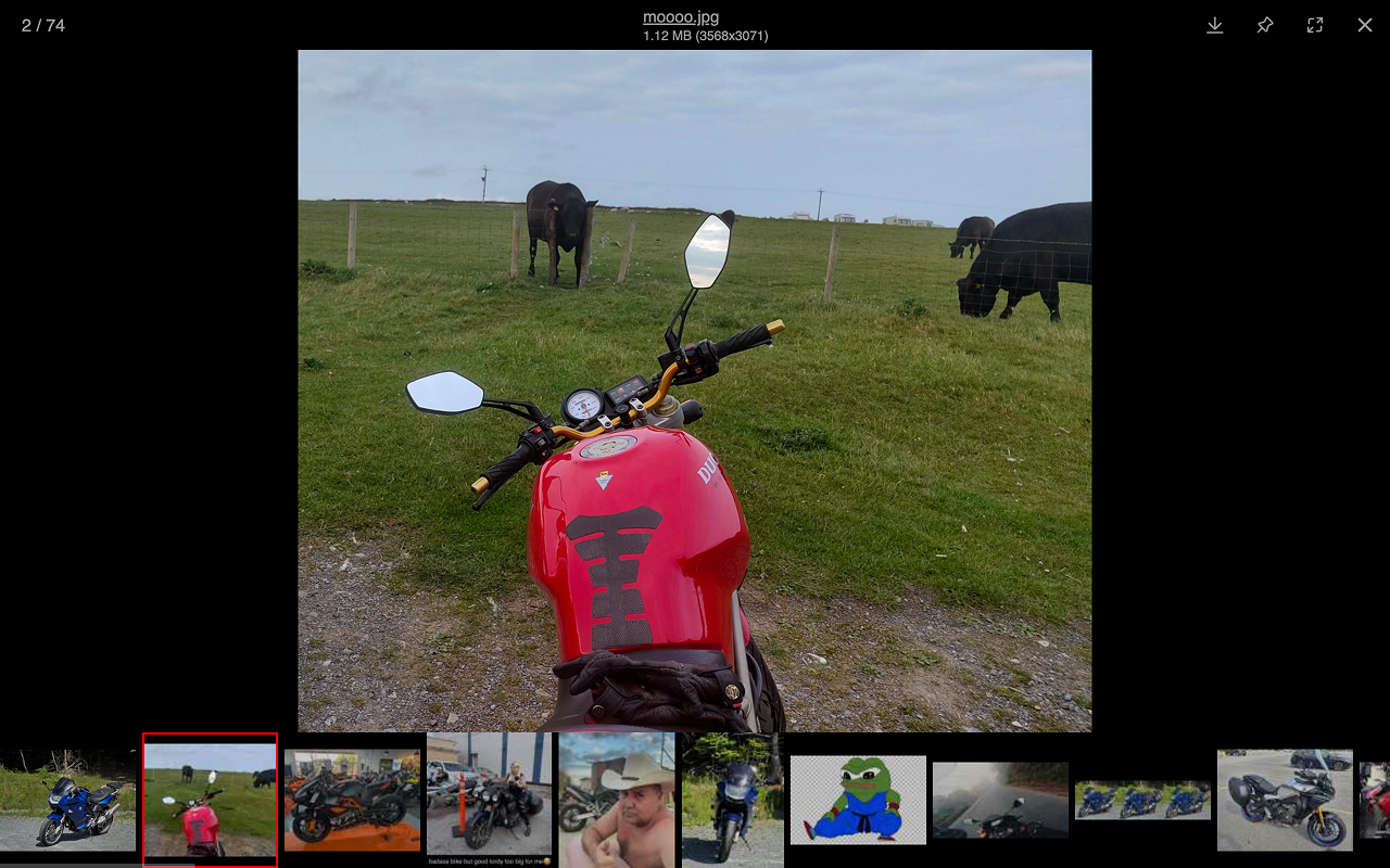 4chan Max – Image/video gallery, scroll buttons and useful tweaks for 4chan chrome谷歌浏览器插件_扩展第2张截图