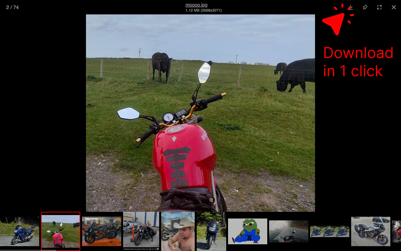 4chan Max – Image/video gallery, scroll buttons and useful tweaks for 4chan chrome谷歌浏览器插件_扩展第3张截图