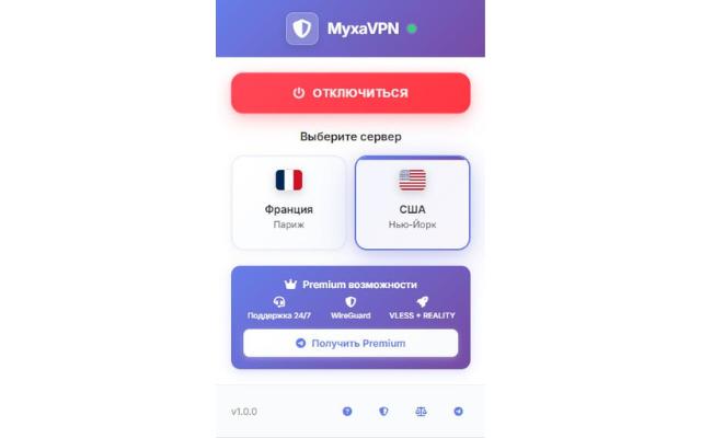 Myxa - Бесплатный  | Приватность | SOCKS5 chrome谷歌浏览器插件_扩展第1张截图