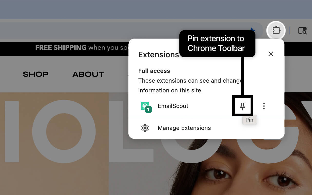 EmailScout - Email Finder, Scraper & Extractor chrome谷歌浏览器插件_扩展第4张截图