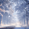 Road in Frozen Forest Live Wallpaper Gameograf