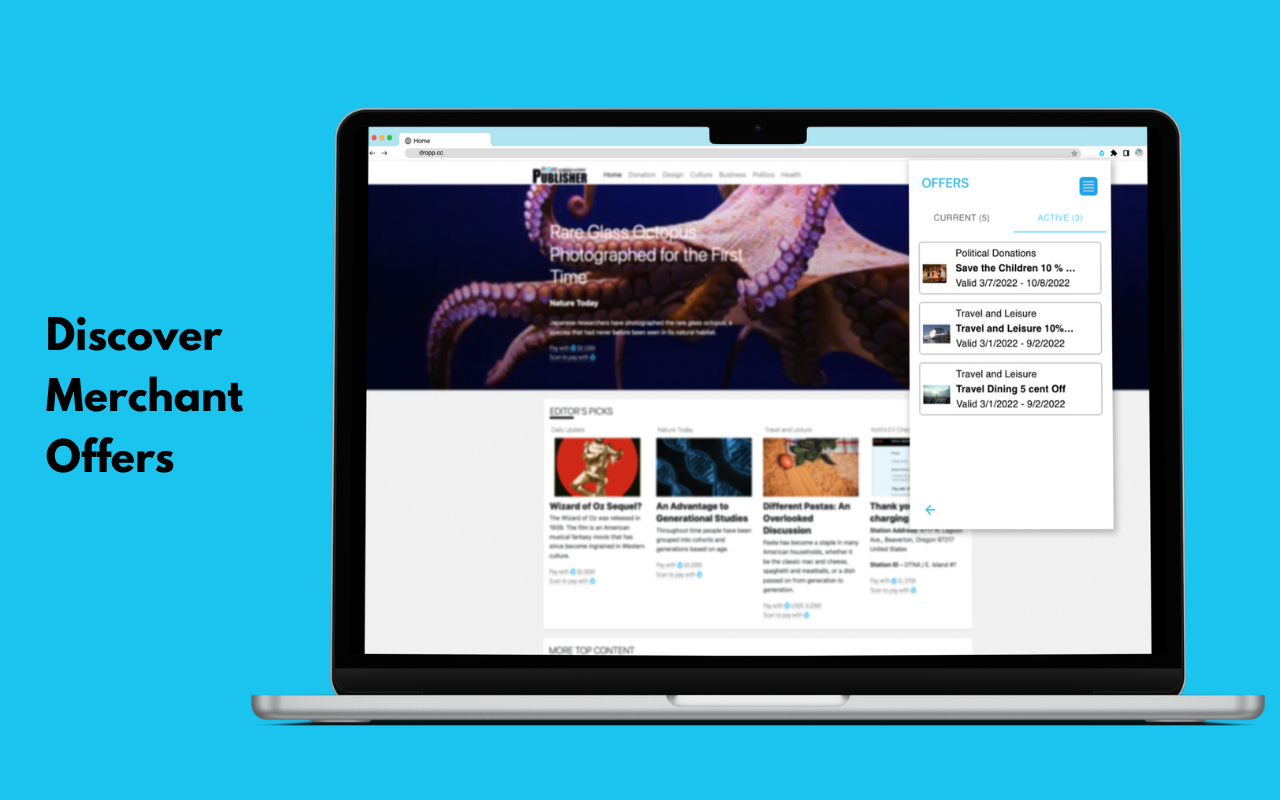 Dropp Extension chrome谷歌浏览器插件_扩展第3张截图