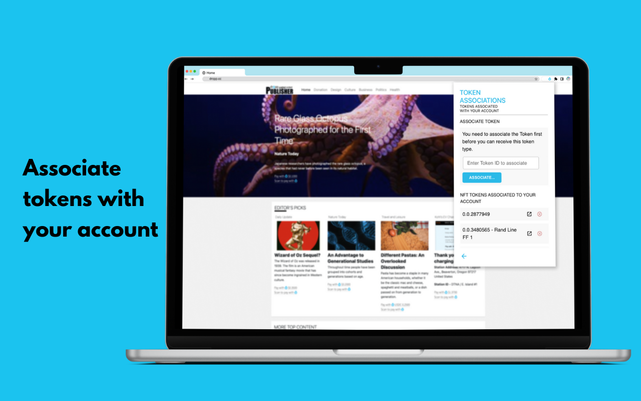 Dropp Extension chrome谷歌浏览器插件_扩展第5张截图