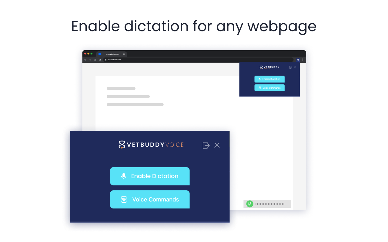 VetBuddy Voice chrome谷歌浏览器插件_扩展第3张截图