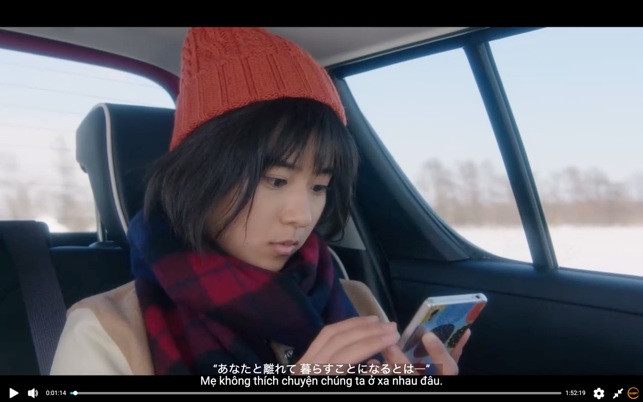 SubFi chrome谷歌浏览器插件_扩展第1张截图