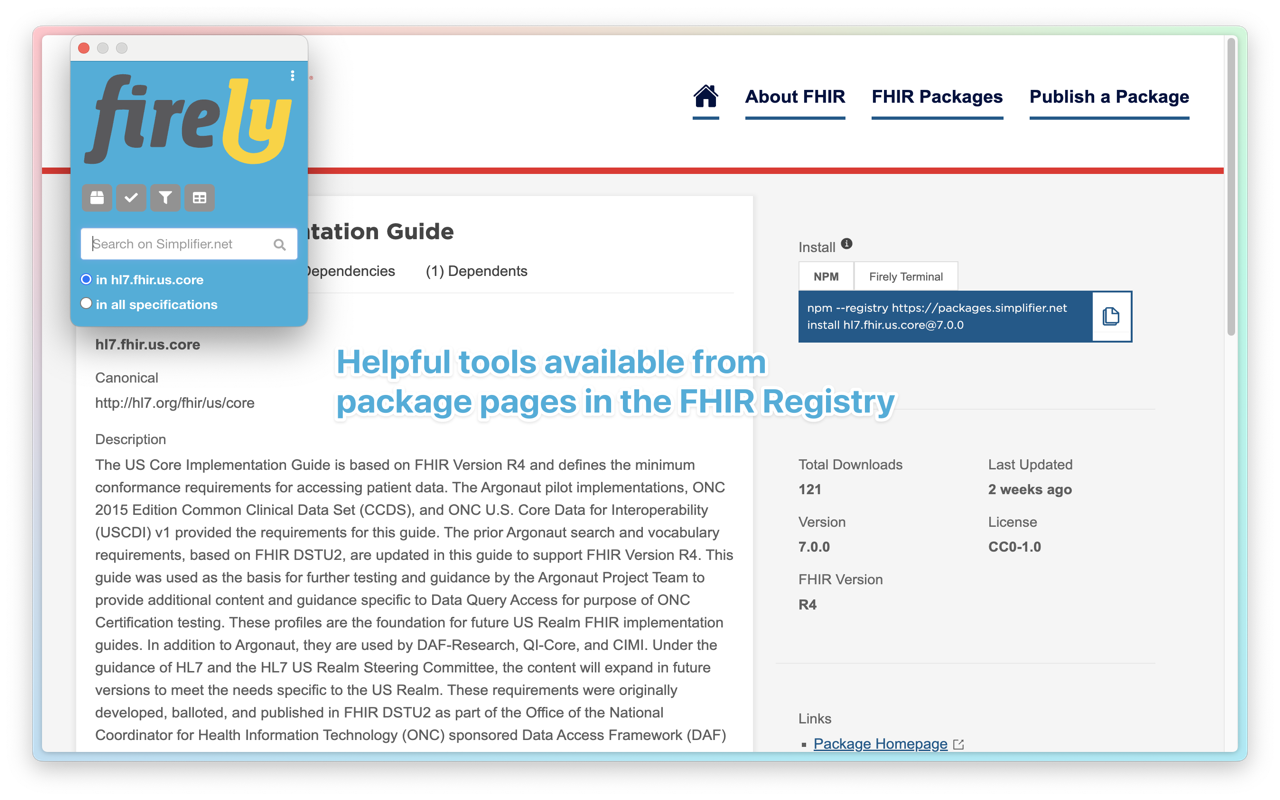 Firely FHIR extension chrome谷歌浏览器插件_扩展第2张截图