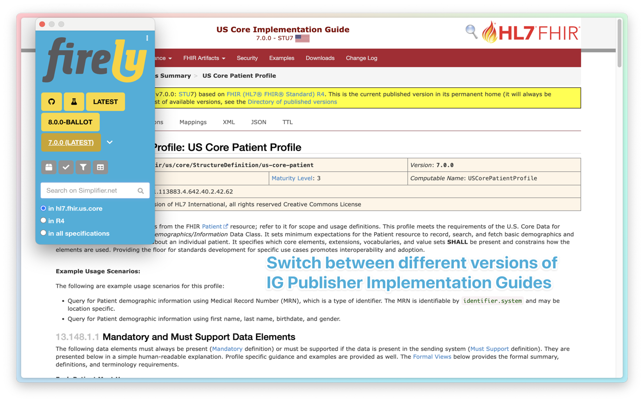 Firely FHIR extension chrome谷歌浏览器插件_扩展第4张截图