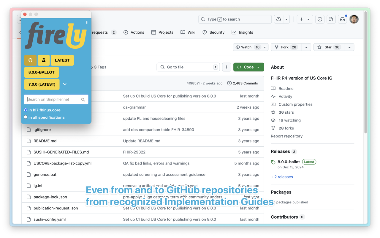 Firely FHIR extension chrome谷歌浏览器插件_扩展第5张截图