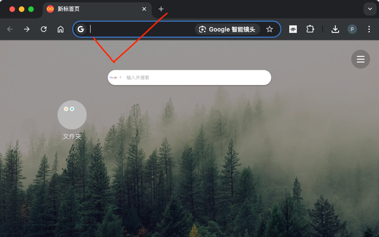 HCOS auto - Hide Chrome Omnibox Suggestions Auto chrome谷歌浏览器插件_扩展第1张截图