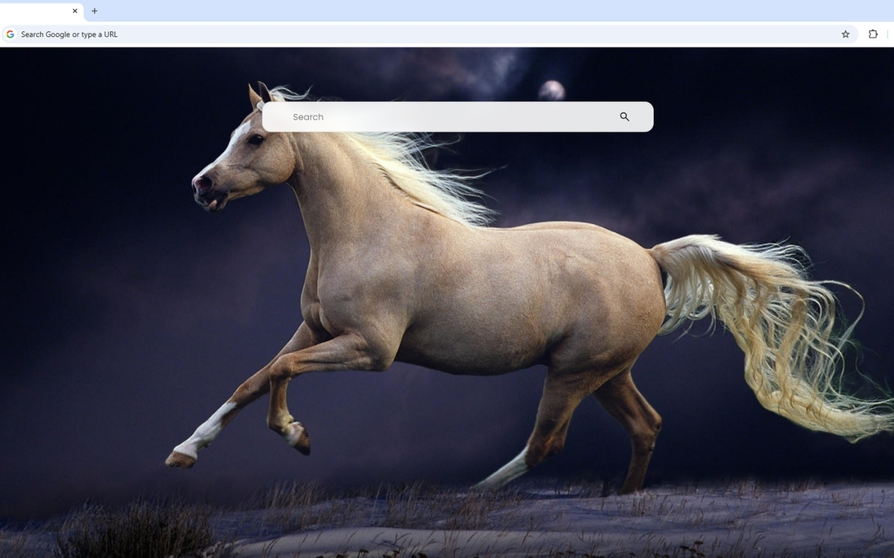 Horse Wallpaper chrome谷歌浏览器插件_扩展第5张截图