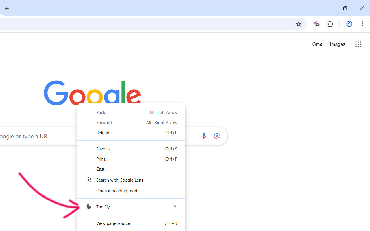 The Fly chrome谷歌浏览器插件_扩展第5张截图
