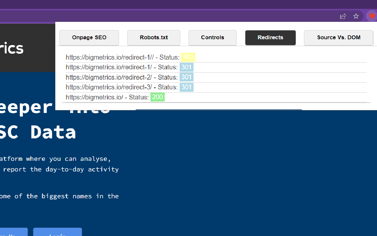 Big Metrics SEO Extension chrome谷歌浏览器插件_扩展第5张截图