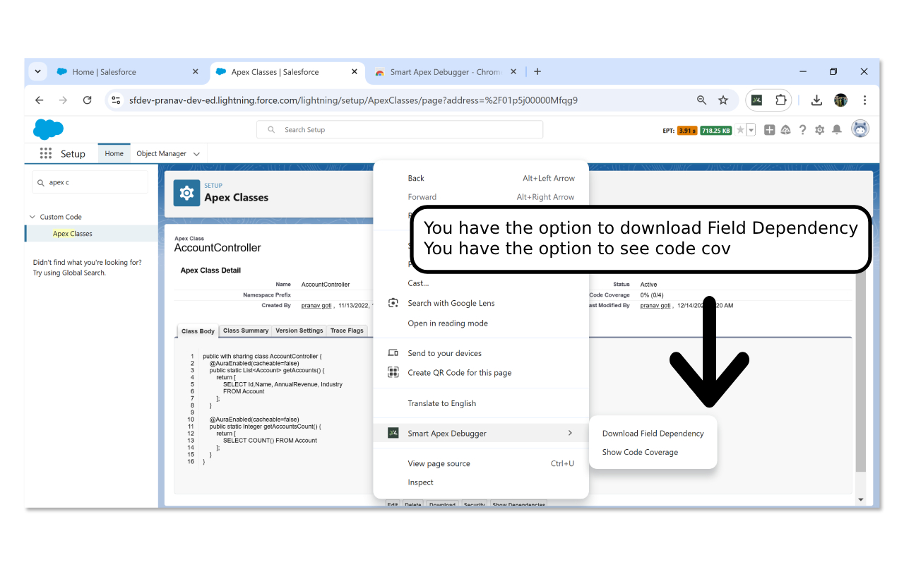 Smart Apex Debugger chrome谷歌浏览器插件_扩展第5张截图