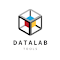 데이터랩툴즈 헬퍼 LOGO 图标