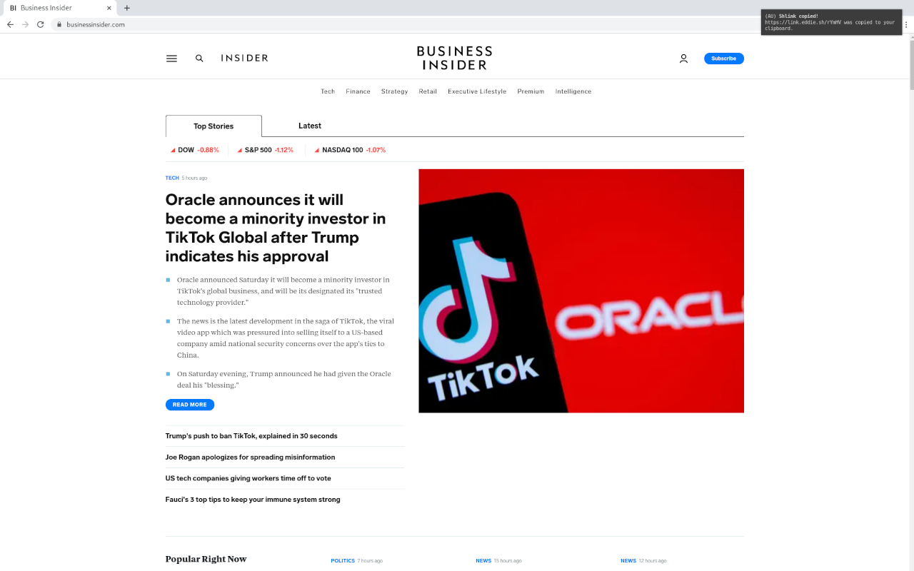 Shlink chrome谷歌浏览器插件_扩展第1张截图