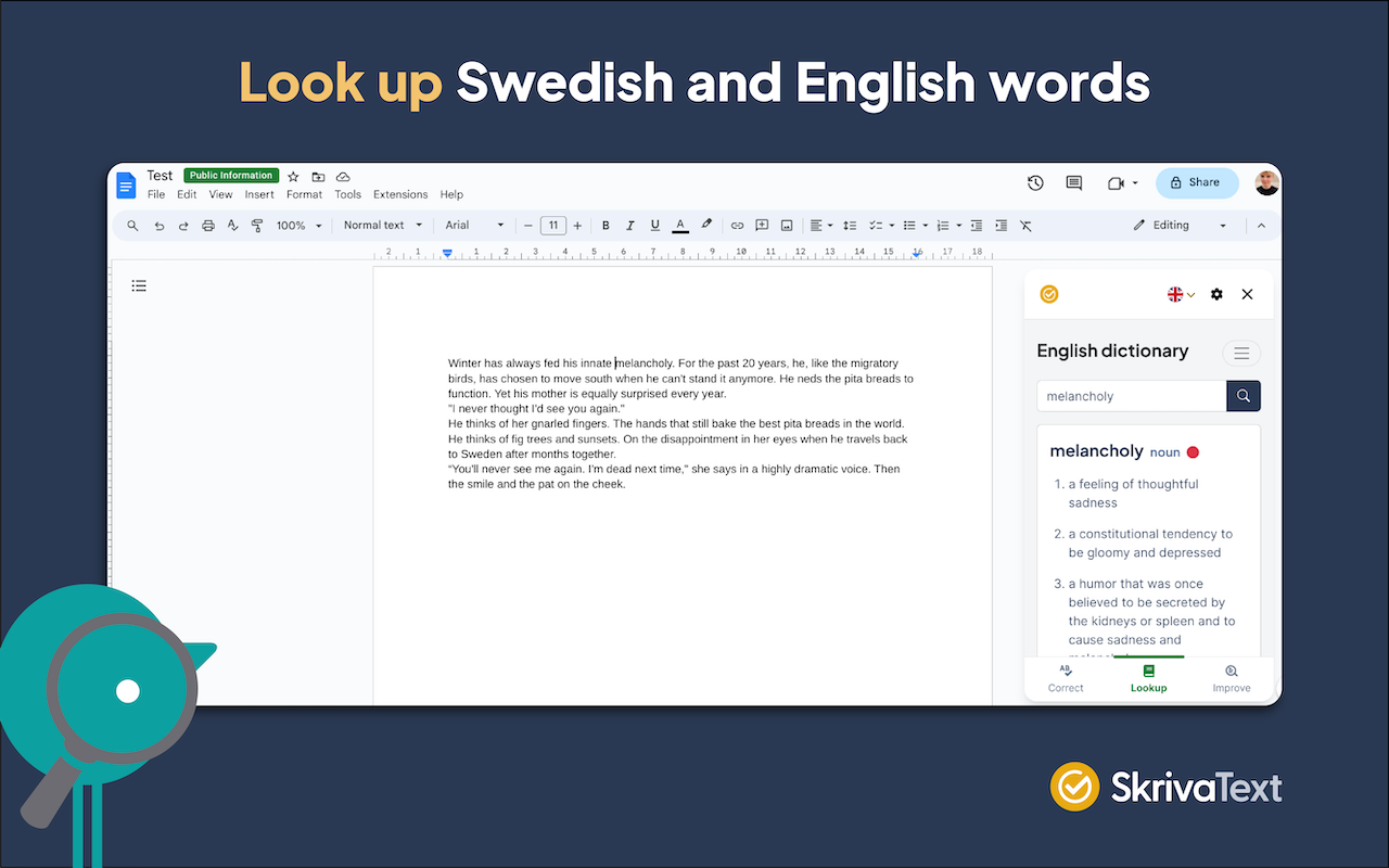 SkrivaText chrome谷歌浏览器插件_扩展第2张截图