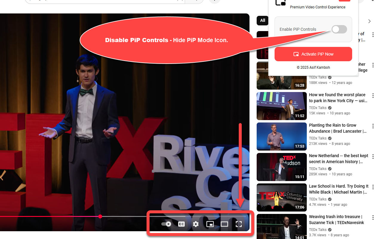 YouTube PiP Pro chrome谷歌浏览器插件_扩展第1张截图