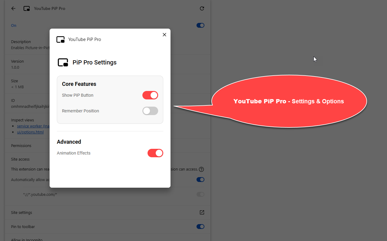 YouTube PiP Pro chrome谷歌浏览器插件_扩展第4张截图