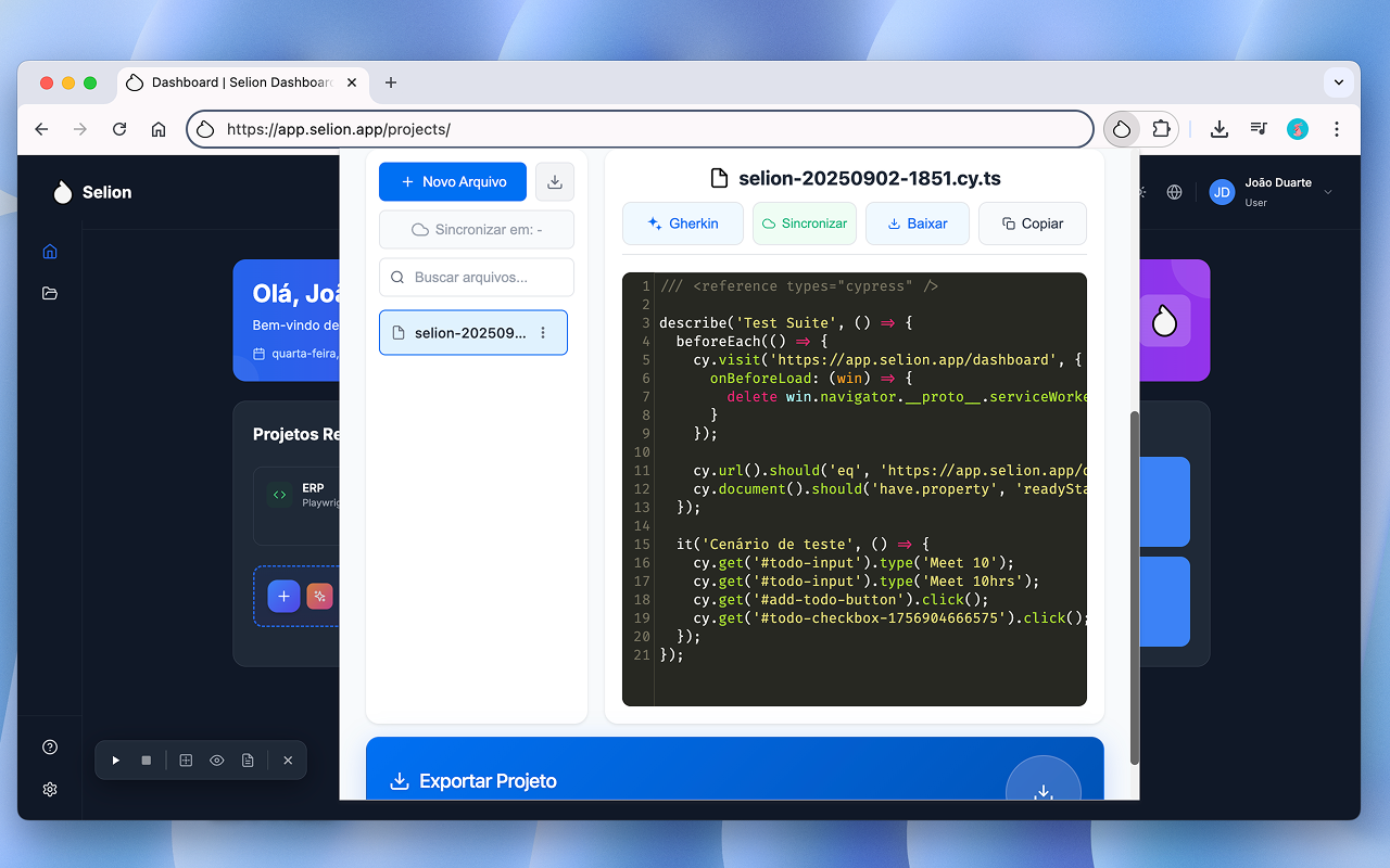Selion chrome谷歌浏览器插件_扩展第1张截图