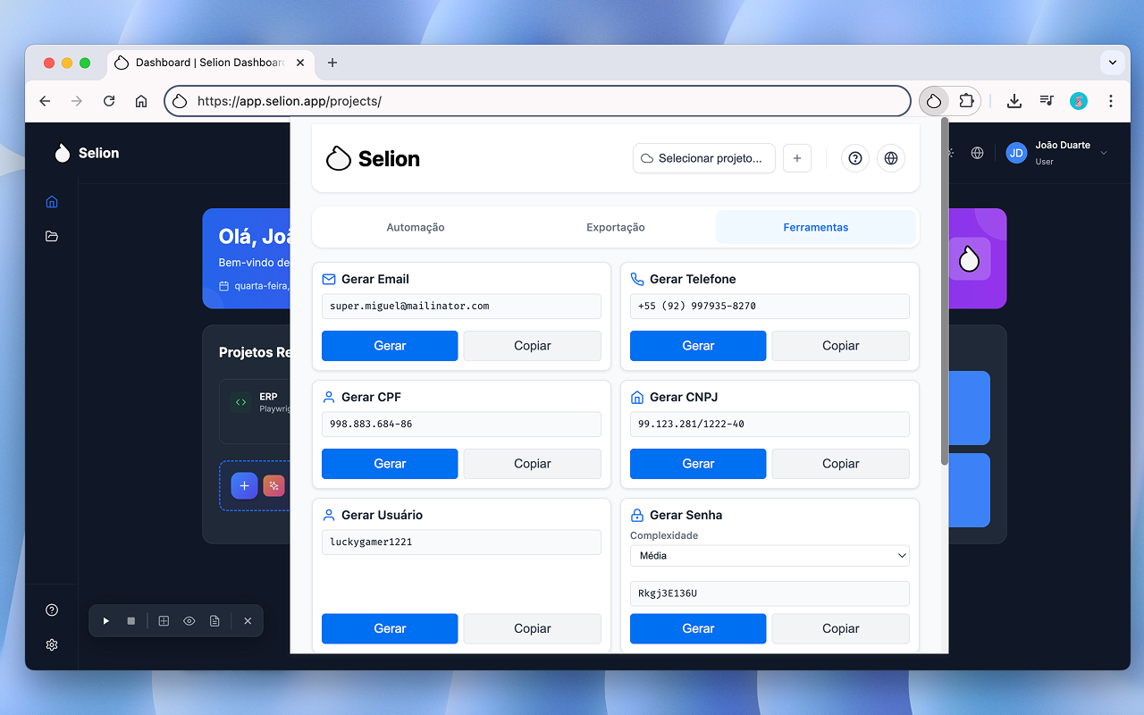 Selion chrome谷歌浏览器插件_扩展第4张截图