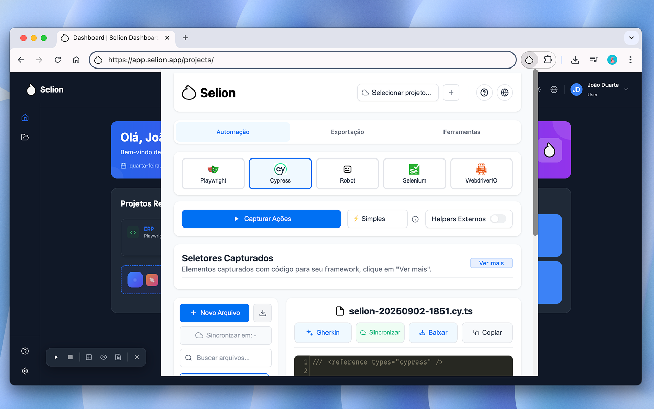 Selion chrome谷歌浏览器插件_扩展第5张截图