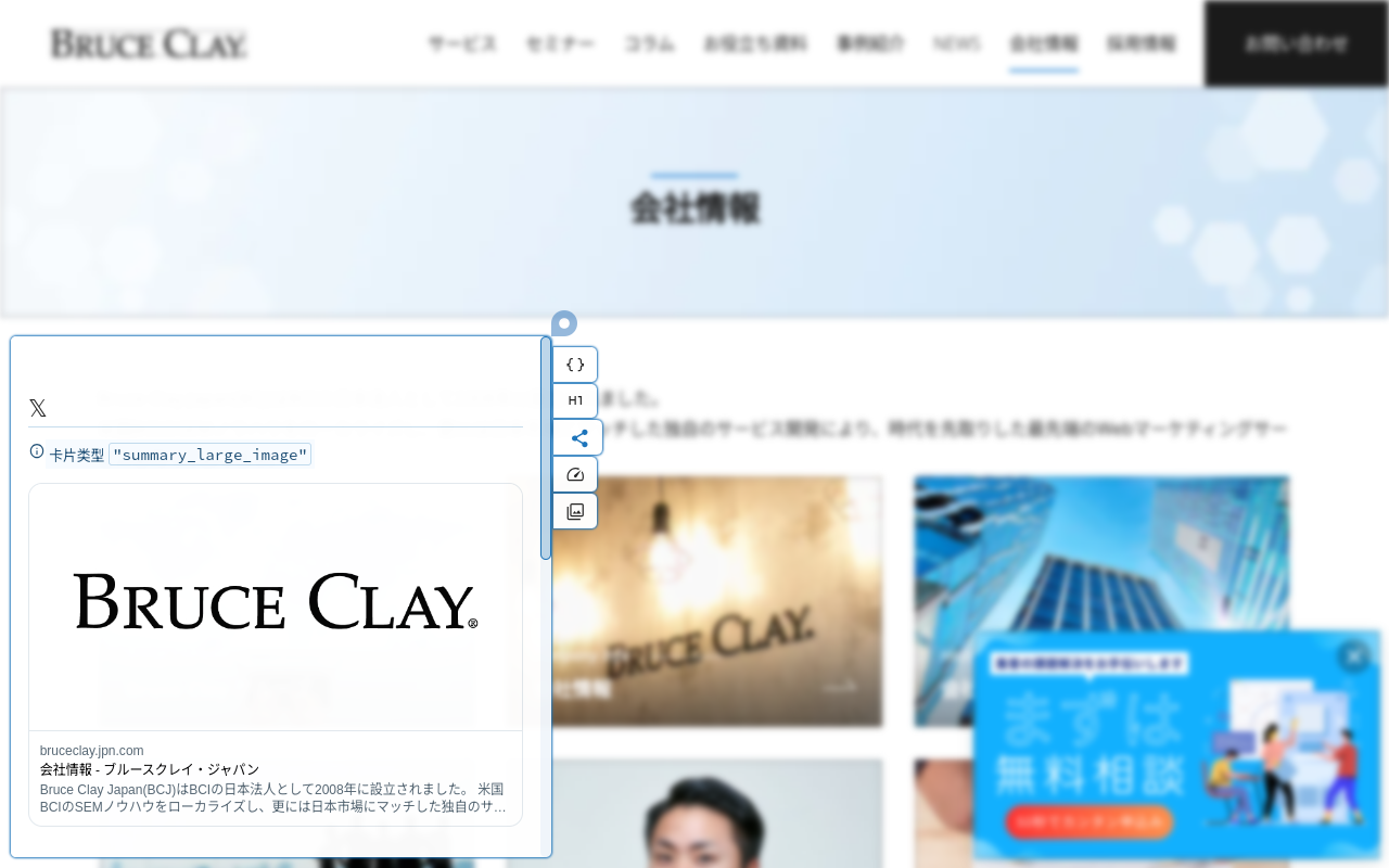 SEOdin 页面分析器 chrome谷歌浏览器插件_扩展第2张截图